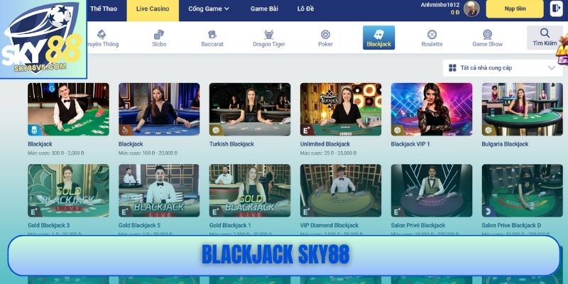Blackjack Sky88