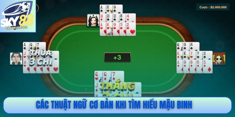 Các thuật ngữ cơ bản khi tìm hiểu mậu binh