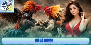 Đá Gà Thomo